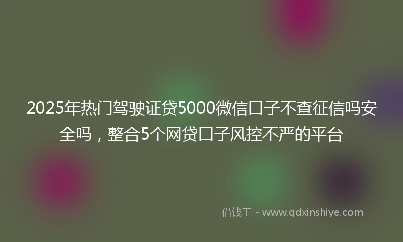 2025年热门驾驶证贷5000微信口子不查征信吗安全吗，整合5个网贷口子风控不严的平台