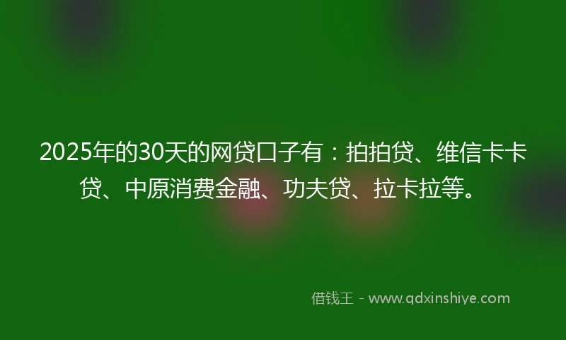2025年的30天的网贷口子有：拍拍贷、维信卡卡贷、中原消费金融、功夫贷、拉卡拉等。