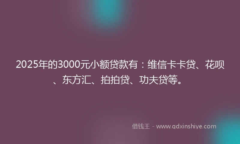 2025年的3000元小额贷款有：维信卡卡贷、花呗、东方汇、拍拍贷、功夫贷等。
