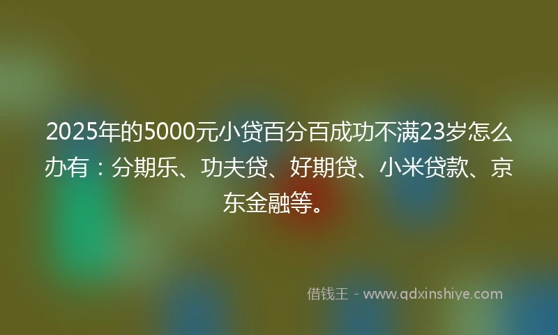 2025年的5000元小贷百分百成功不满23岁怎么办有：分期乐、功夫贷、好期贷、小米贷款、京东金融等。
