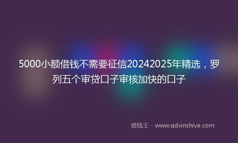 5000小额借钱不需要征信20242025年精选，罗列五个审贷口子审核加快的口子