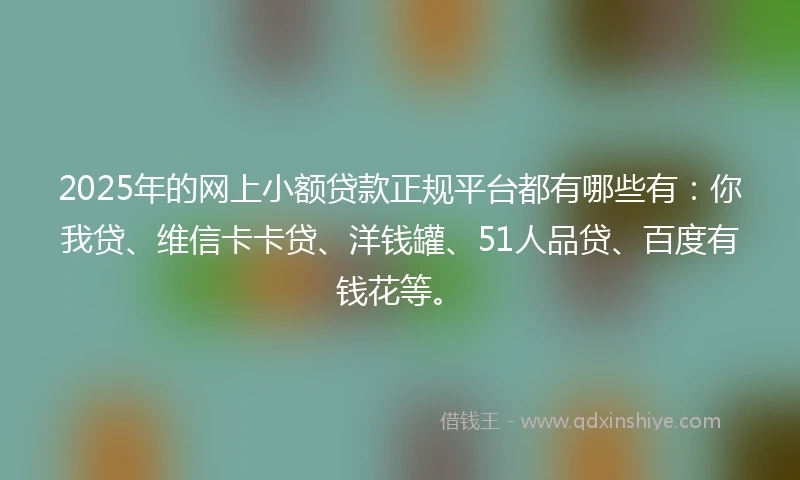 2025年的网上小额贷款正规平台都有哪些有：你我贷、维信卡卡贷、洋钱罐、51人品贷、百度有钱花等。