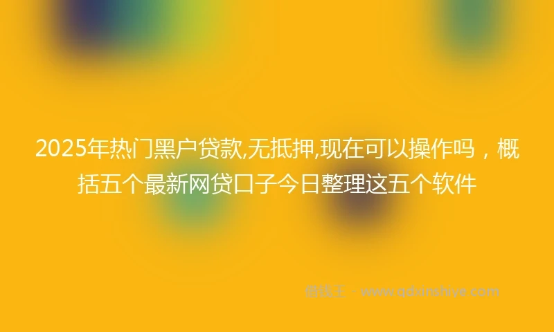 2025年热门黑户贷款,无抵押,现在可以操作吗，概括五个最新网贷口子今日整理这五个软件