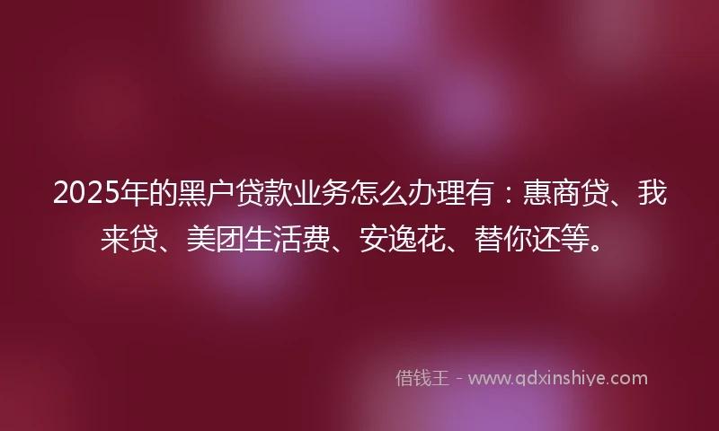 2025年的黑户贷款业务怎么办理有：惠商贷、我来贷、美团生活费、安逸花、替你还等。
