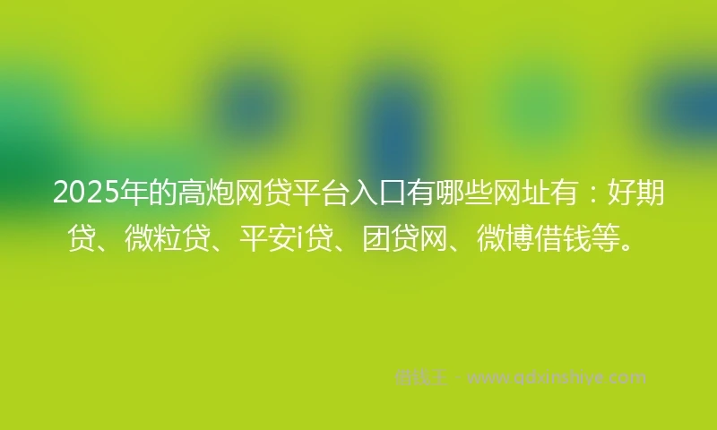 2025年的高炮网贷平台入口有哪些网址有：好期贷、微粒贷、平安i贷、团贷网、微博借钱等。