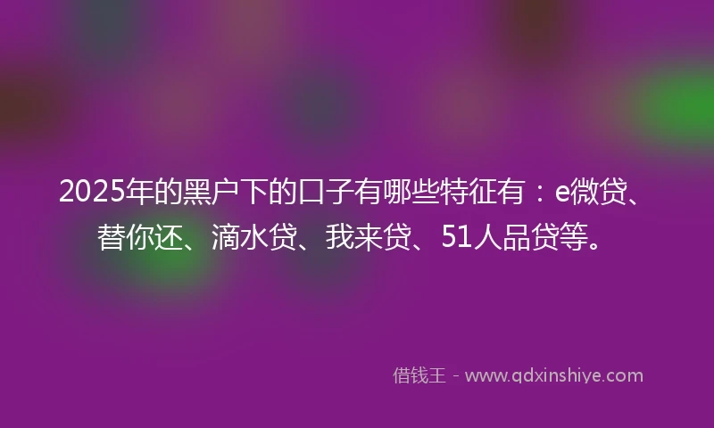 2025年的黑户下的口子有哪些特征有：e微贷、替你还、滴水贷、我来贷、51人品贷等。