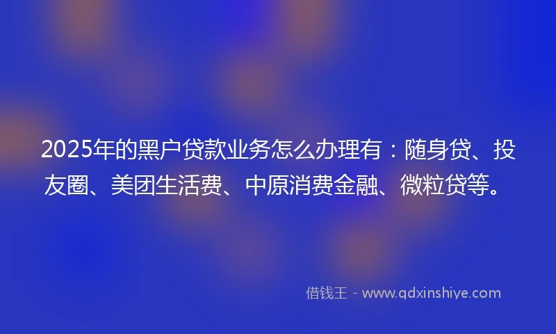 2025年的黑户贷款业务怎么办理有：随身贷、投友圈、美团生活费、中原消费金融、微粒贷等。