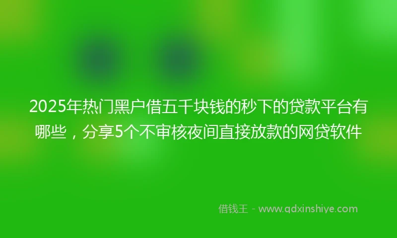2025年热门黑户借五千块钱的秒下的贷款平台有哪些，分享5个不审核夜间直接放款的网贷软件