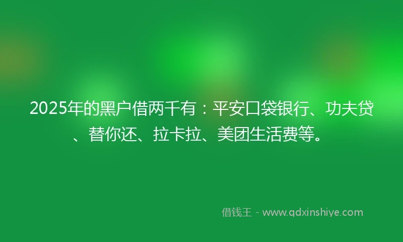 2025年的黑户借两千有：平安口袋银行、功夫贷、替你还、拉卡拉、美团生活费等。
