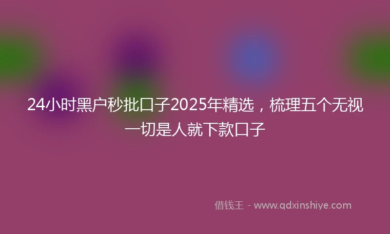24小时黑户秒批口子2025年精选，梳理五个无视一切是人就下款口子