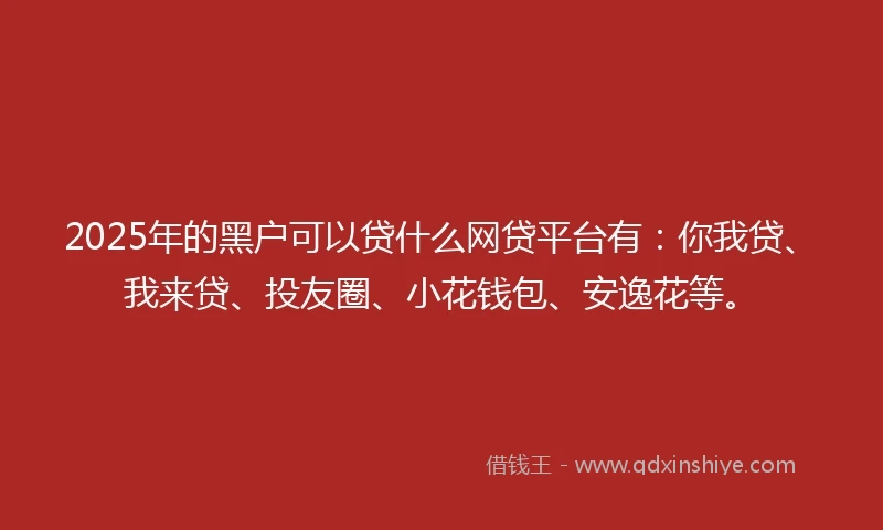 2025年的黑户可以贷什么网贷平台有：你我贷、我来贷、投友圈、小花钱包、安逸花等。
