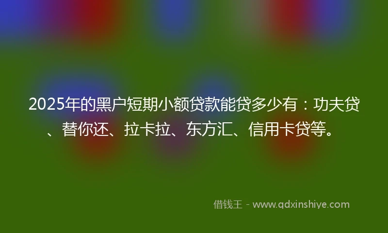 2025年的黑户短期小额贷款能贷多少有：功夫贷、替你还、拉卡拉、东方汇、信用卡贷等。