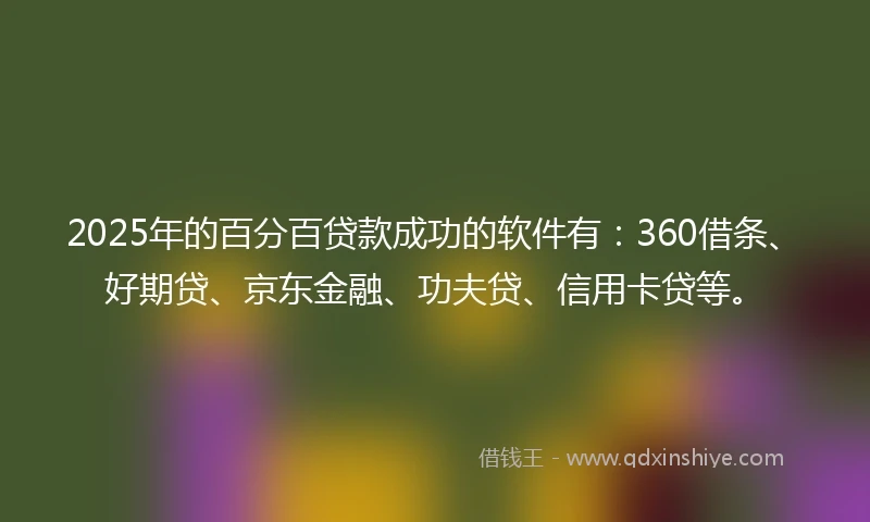 2025年的百分百贷款成功的软件有：360借条、好期贷、京东金融、功夫贷、信用卡贷等。