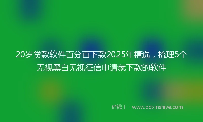 20岁贷款软件百分百下款2025年精选，梳理5个无视黑白无视征信申请就下款的软件