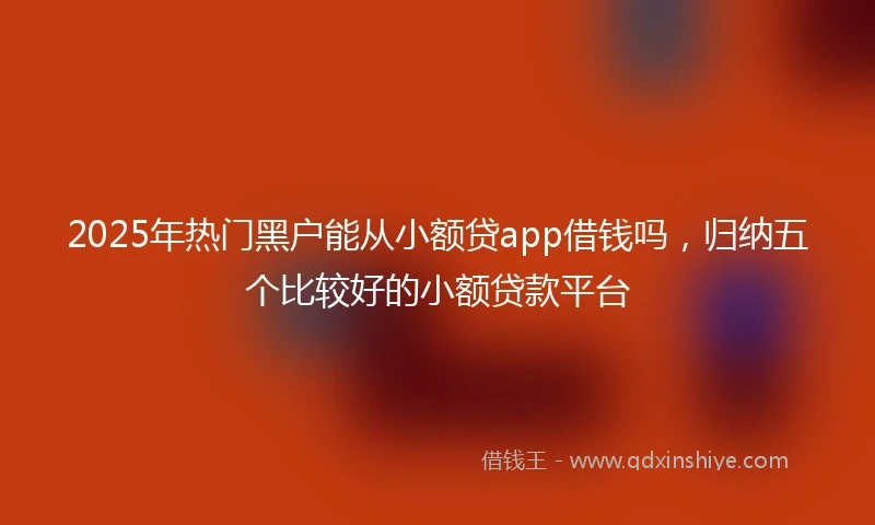 2025年热门黑户能从小额贷app借钱吗，归纳五个比较好的小额贷款平台