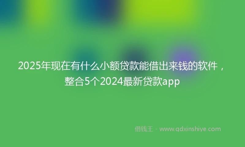 2025年现在有什么小额贷款能借出来钱的软件，整合5个2024最新贷款app