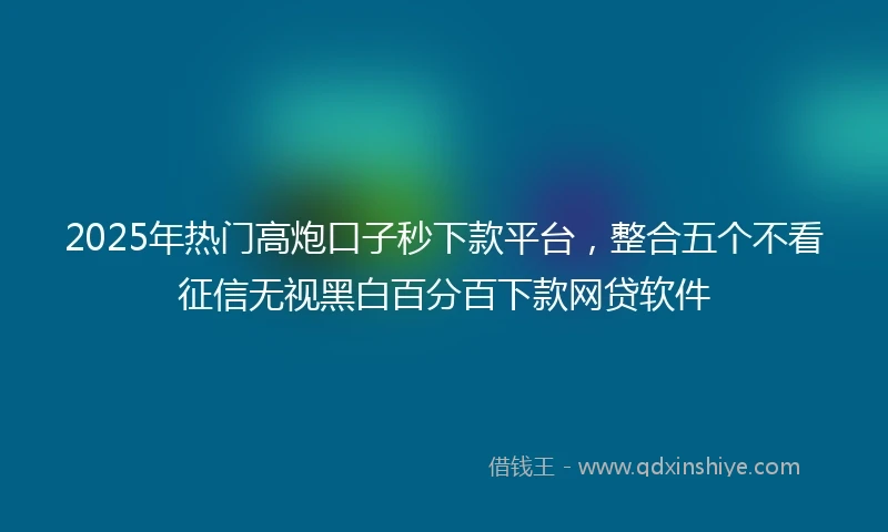 2025年热门高炮口子秒下款平台，整合五个不看征信无视黑白百分百下款网贷软件