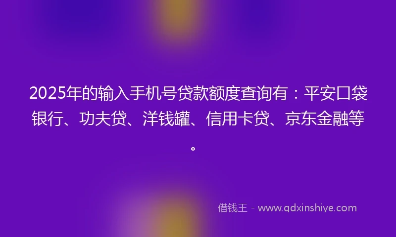 2025年的输入手机号贷款额度查询有：平安口袋银行、功夫贷、洋钱罐、信用卡贷、京东金融等。