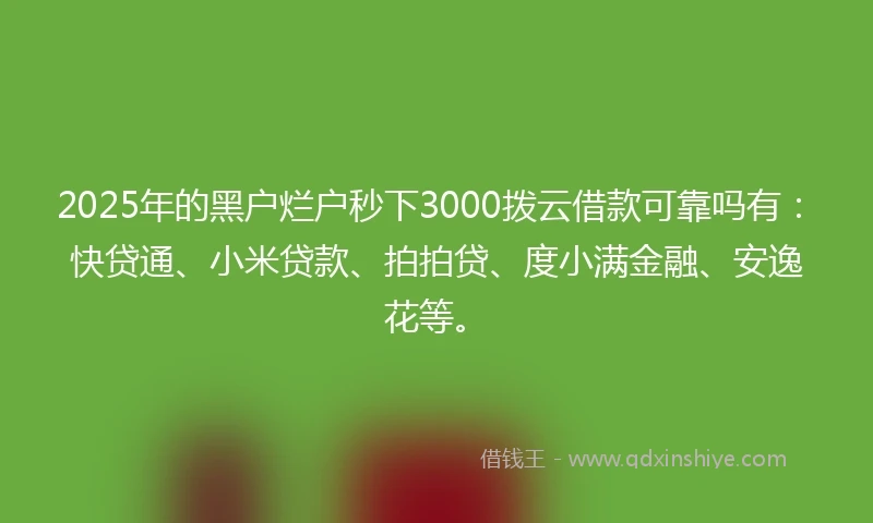 2025年的黑户烂户秒下3000拨云借款可靠吗有：快贷通、小米贷款、拍拍贷、度小满金融、安逸花等。