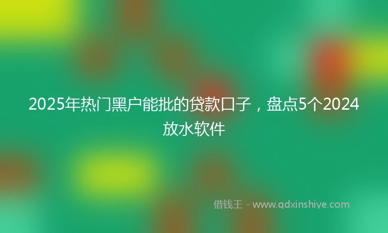 2025年热门黑户能批的贷款口子，盘点5个2024放水软件