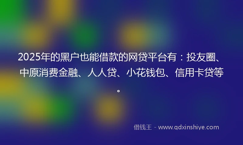 2025年的黑户也能借款的网贷平台有：投友圈、中原消费金融、人人贷、小花钱包、信用卡贷等。