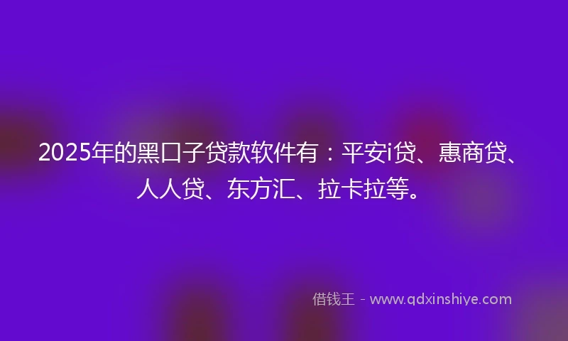 2025年的黑口子贷款软件有：平安i贷、惠商贷、人人贷、东方汇、拉卡拉等。