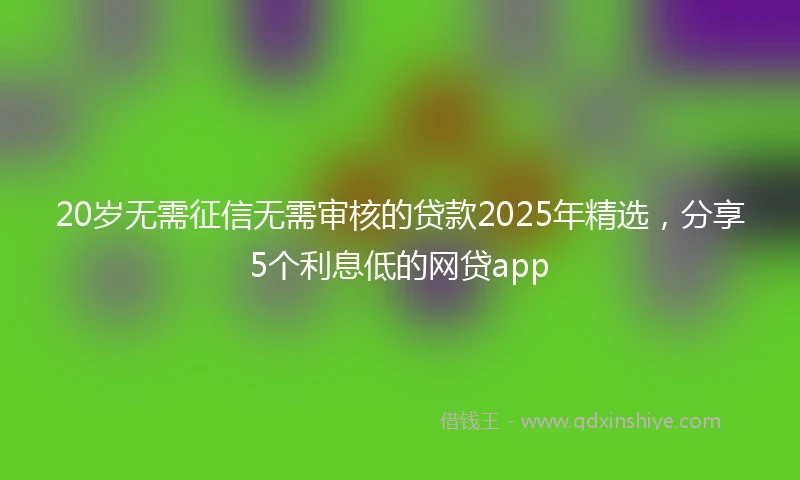 20岁无需征信无需审核的贷款2025年精选，分享5个利息低的网贷app