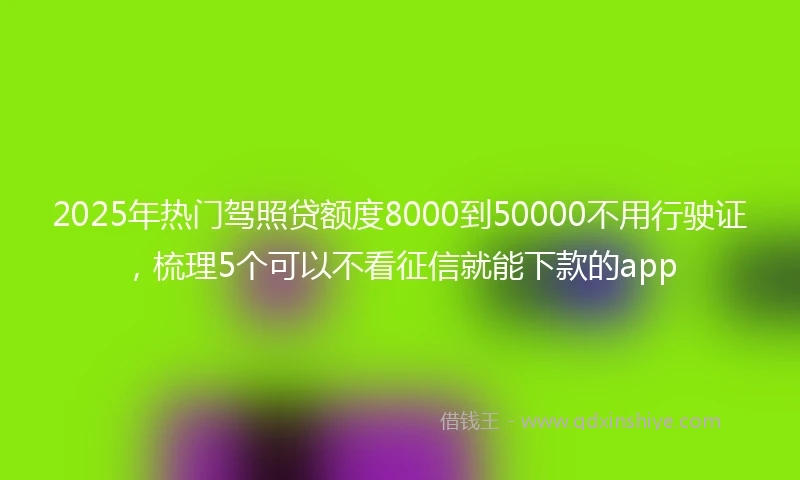 2025年热门驾照贷额度8000到50000不用行驶证，梳理5个可以不看征信就能下款的app