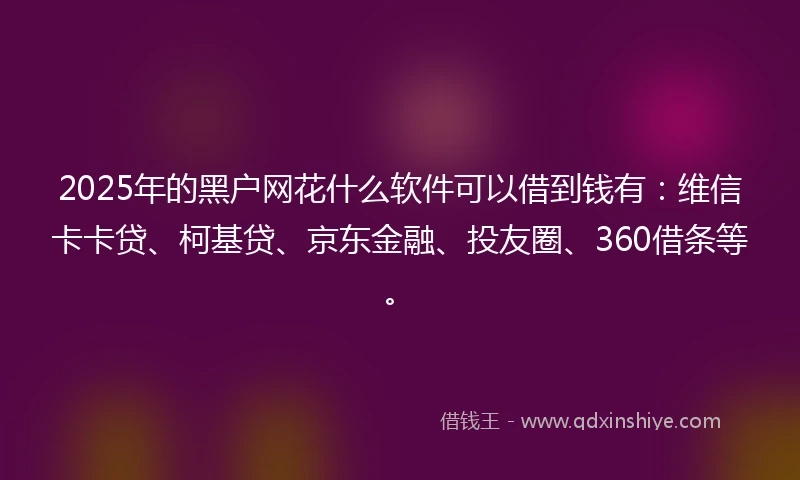 2025年的黑户网花什么软件可以借到钱有：维信卡卡贷、柯基贷、京东金融、投友圈、360借条等。