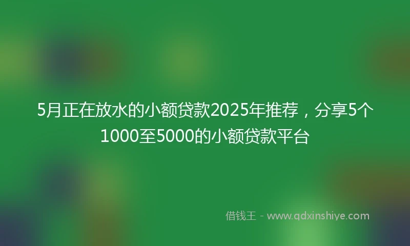 5月正在放水的小额贷款2025年推荐，分享5个1000至5000的小额贷款平台