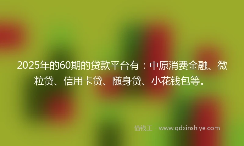 2025年的60期的贷款平台有：中原消费金融、微粒贷、信用卡贷、随身贷、小花钱包等。