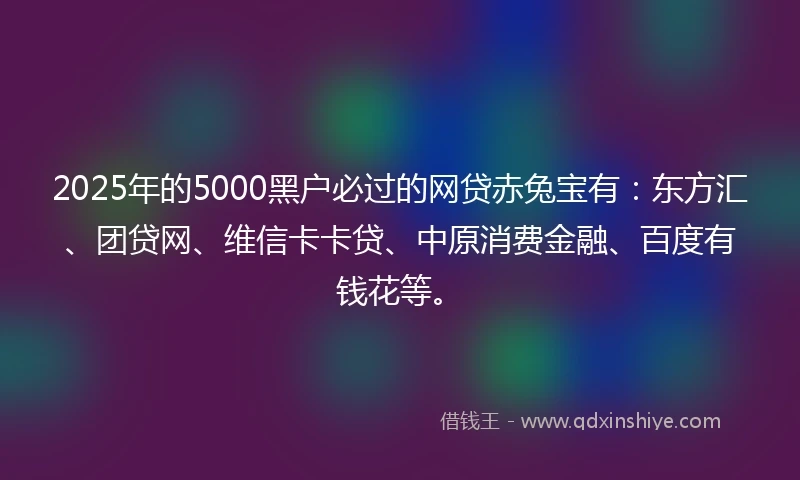 2025年的5000黑户必过的网贷赤兔宝有：东方汇、团贷网、维信卡卡贷、中原消费金融、百度有钱花等。