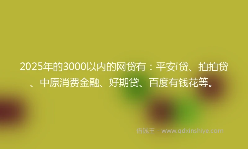 2025年的3000以内的网贷有：平安i贷、拍拍贷、中原消费金融、好期贷、百度有钱花等。