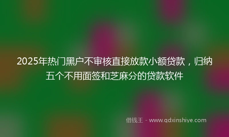 2025年热门黑户不审核直接放款小额贷款，归纳五个不用面签和芝麻分的贷款软件