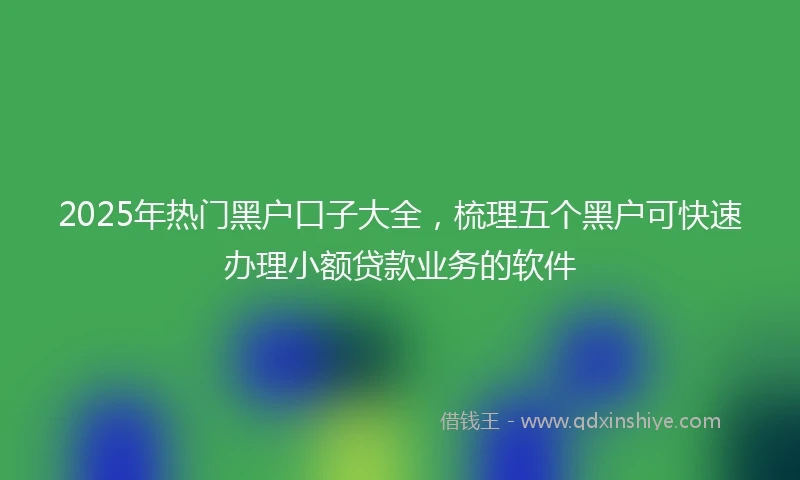 2025年热门黑户口子大全，梳理五个黑户可快速办理小额贷款业务的软件