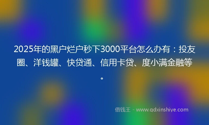 2025年的黑户烂户秒下3000平台怎么办有：投友圈、洋钱罐、快贷通、信用卡贷、度小满金融等。