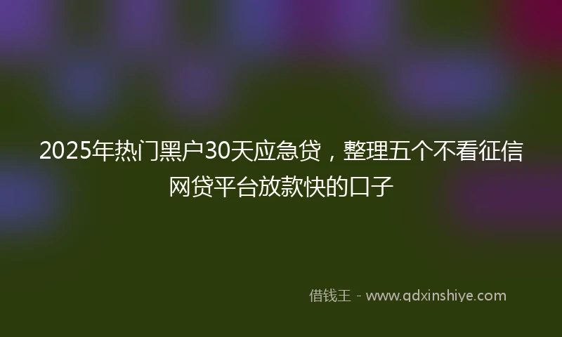 2025年热门黑户30天应急贷，整理五个不看征信网贷平台放款快的口子