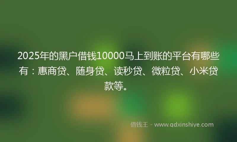 2025年的黑户借钱10000马上到账的平台有哪些有：惠商贷、随身贷、读秒贷、微粒贷、小米贷款等。