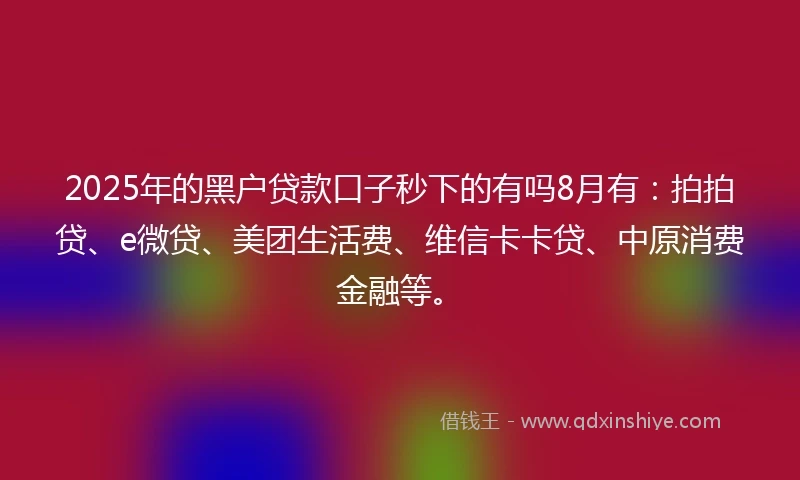 2025年的黑户贷款口子秒下的有吗8月有：拍拍贷、e微贷、美团生活费、维信卡卡贷、中原消费金融等。