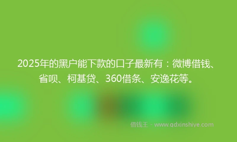 2025年的黑户能下款的口子最新有：微博借钱、省呗、柯基贷、360借条、安逸花等。