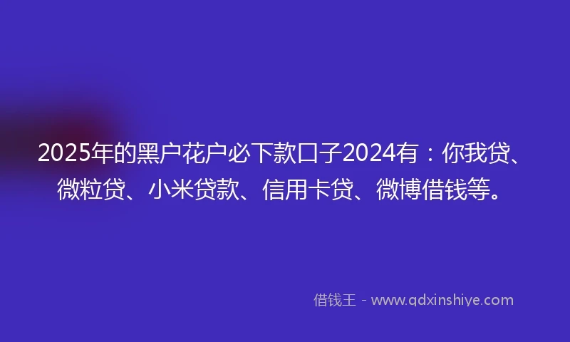 2025年的黑户花户必下款口子2024有：你我贷、微粒贷、小米贷款、信用卡贷、微博借钱等。