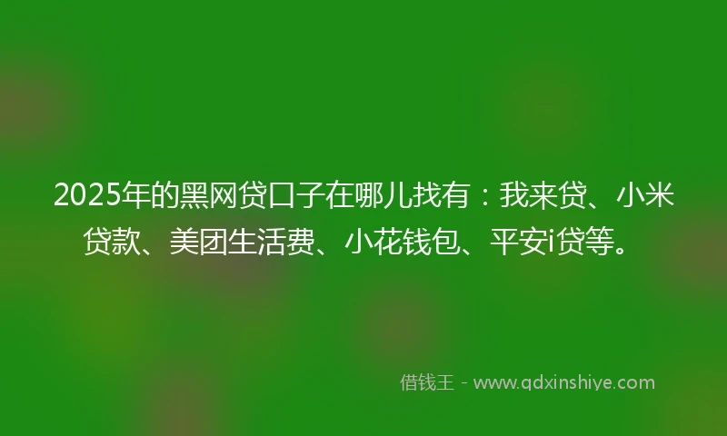 2025年的黑网贷口子在哪儿找有：我来贷、小米贷款、美团生活费、小花钱包、平安i贷等。