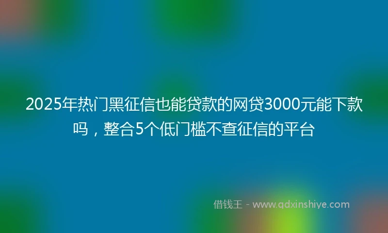 2025年热门黑征信也能贷款的网贷3000元能下款吗，整合5个低门槛不查征信的平台