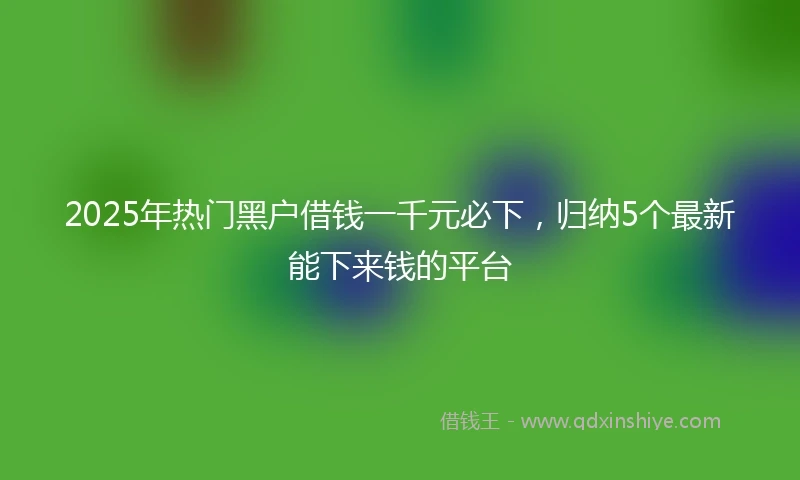 2025年热门黑户借钱一千元必下，归纳5个最新能下来钱的平台