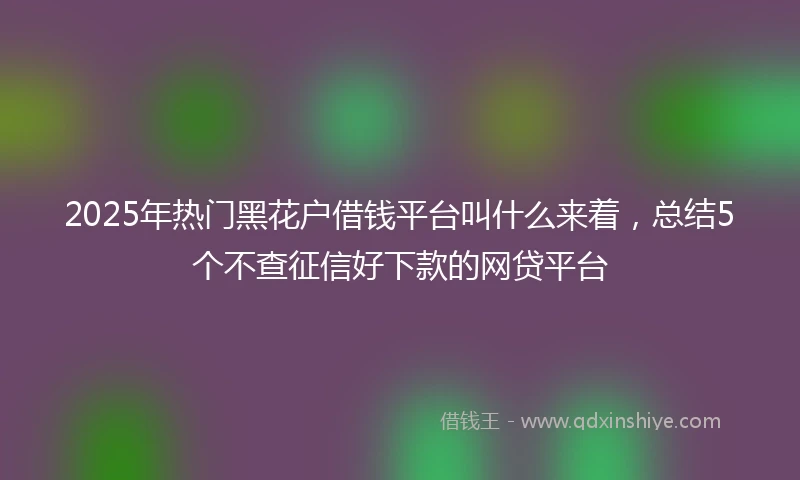 2025年热门黑花户借钱平台叫什么来着，总结5个不查征信好下款的网贷平台