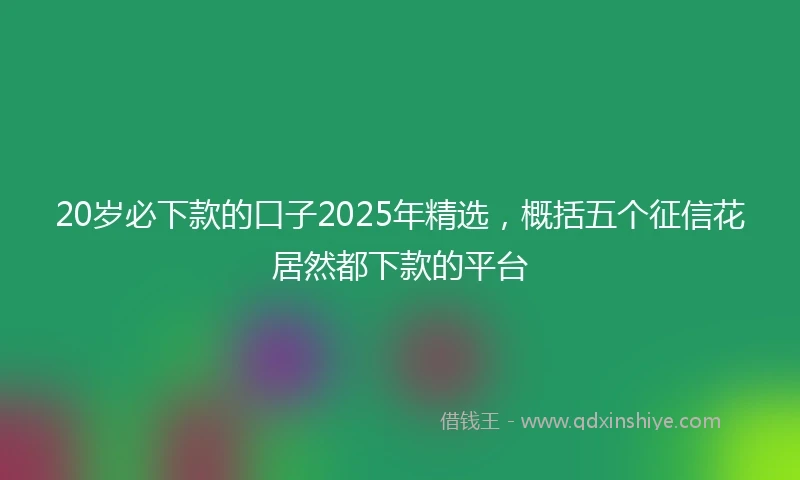 20岁必下款的口子2025年精选，概括五个征信花居然都下款的平台