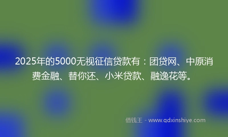 2025年的5000无视征信贷款有：团贷网、中原消费金融、替你还、小米贷款、融逸花等。