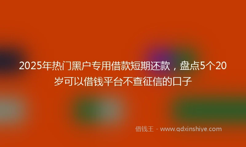 2025年热门黑户专用借款短期还款，盘点5个20岁可以借钱平台不查征信的口子