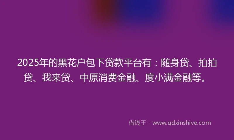 2025年的黑花户包下贷款平台有：随身贷、拍拍贷、我来贷、中原消费金融、度小满金融等。