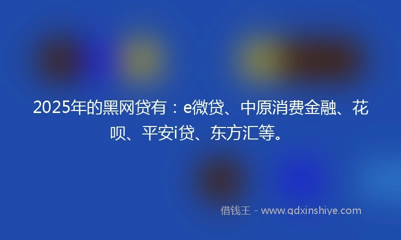 2025年的黑网贷有：e微贷、中原消费金融、花呗、平安i贷、东方汇等。